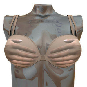 Novelty Brassiere